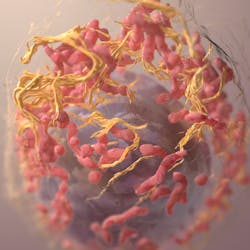 Unsplash Cancer National Cancer Institute P1zy6iz Fi0 M Unsplash 6243252d69bf5 Unsplash Cancer National Cancer Institute P1zy6iz Fi0 M Unsplash 6243252d69bf5