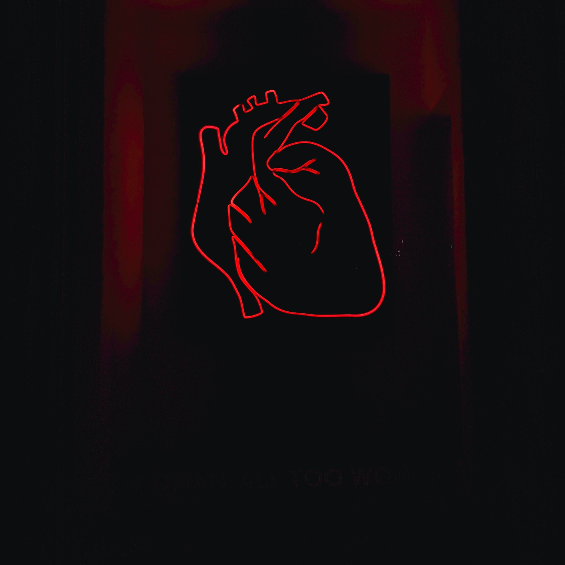 Unsplash Heart Alexandru Acea R Qg Km1h2ag A Unsplash 62348b4a41eea