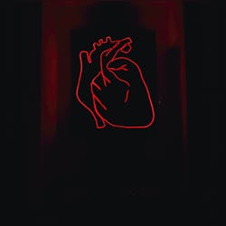 Unsplash Heart Alexandru Acea R Qg Km1h2ag A Unsplash 62348b4a41eea Unsplash Heart Alexandru Acea R Qg Km1h2ag A Unsplash 62348b4a41eea