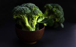 Bowl Of Broccoli G641a18f4b 1920 623dcd3c8968f Bowl Of Broccoli G641a18f4b 1920 623dcd3c8968f