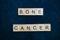 Pexels Bone Cancer Pexels Anna Tarazevich 8016911 6238825620b7b Pexels Bone Cancer Pexels Anna Tarazevich 8016911 6238825620b7b