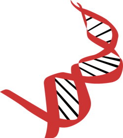 Pixabay Dna G0684ac291 1280 6238878102168 Pixabay Dna G0684ac291 1280 6238878102168