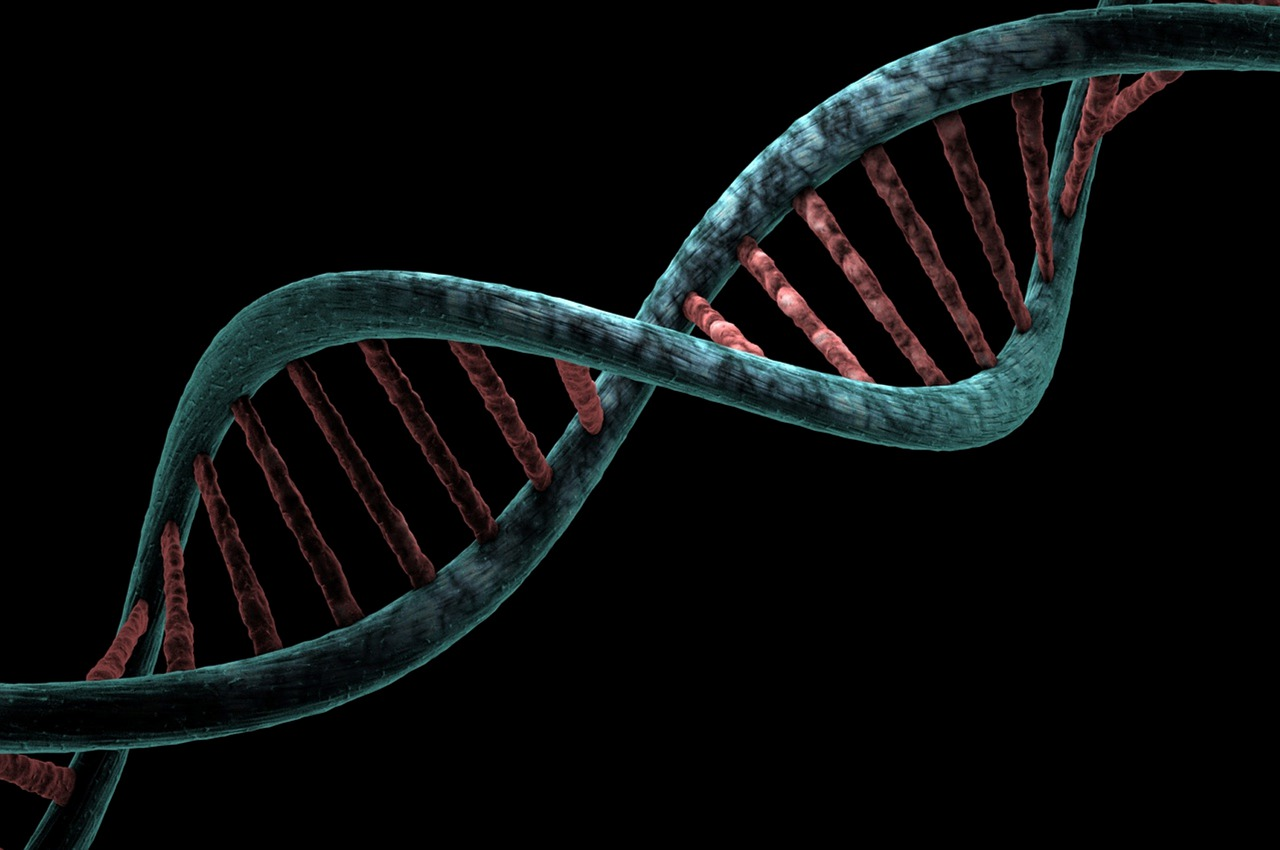 Pixabay Genetics Dna G4672f5652 1280 622f561f4cc1c
