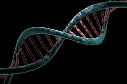 Pixabay Genetics Dna G4672f5652 1280 622f561f4cc1c Pixabay Genetics Dna G4672f5652 1280 622f561f4cc1c