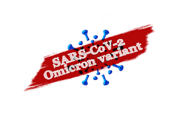Pixabay Omicron Covid G7c02fc587 1280 6220d63d6baff Pixabay Omicron Covid G7c02fc587 1280 6220d63d6baff