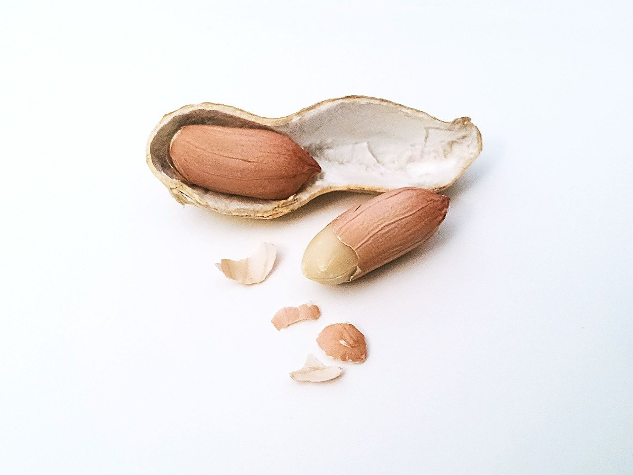 Pixabay Peanut G404db2c38 1280 622a08e29a238