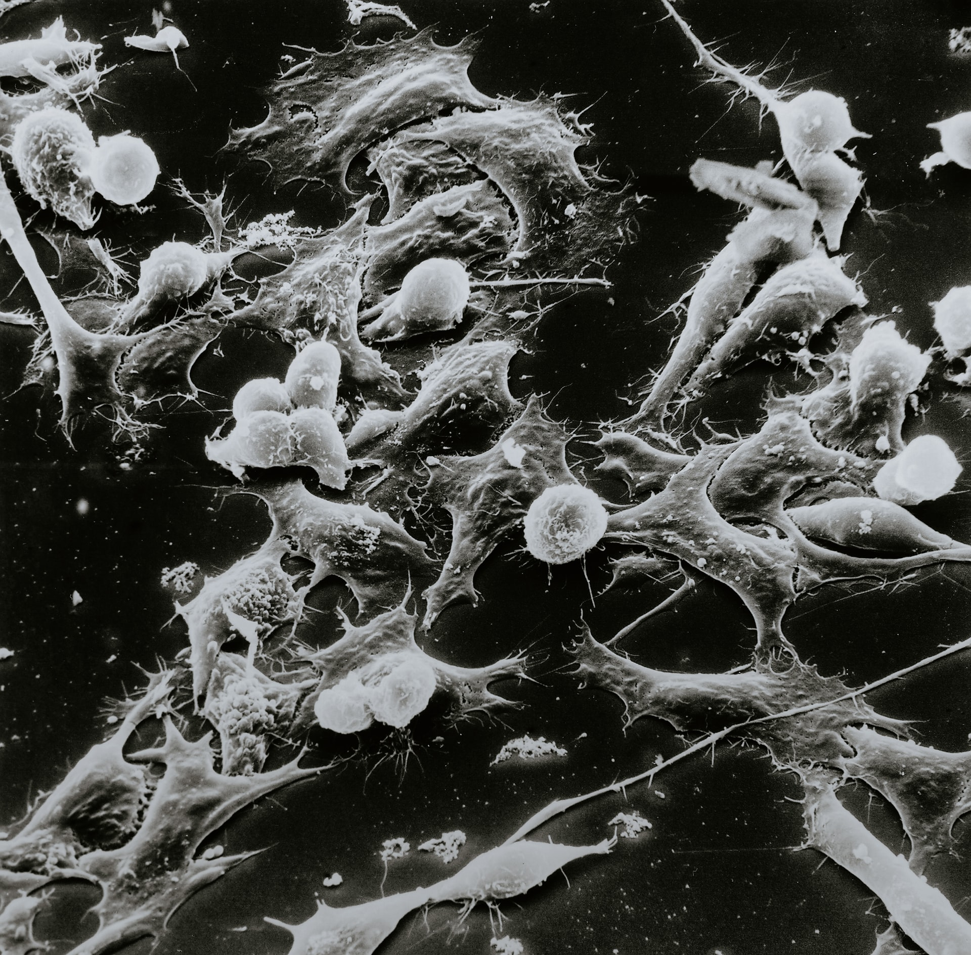 Unsplash Cancer National Cancer Institute W Ug8xh J3a Bs Unsplash 6234841a1cb92