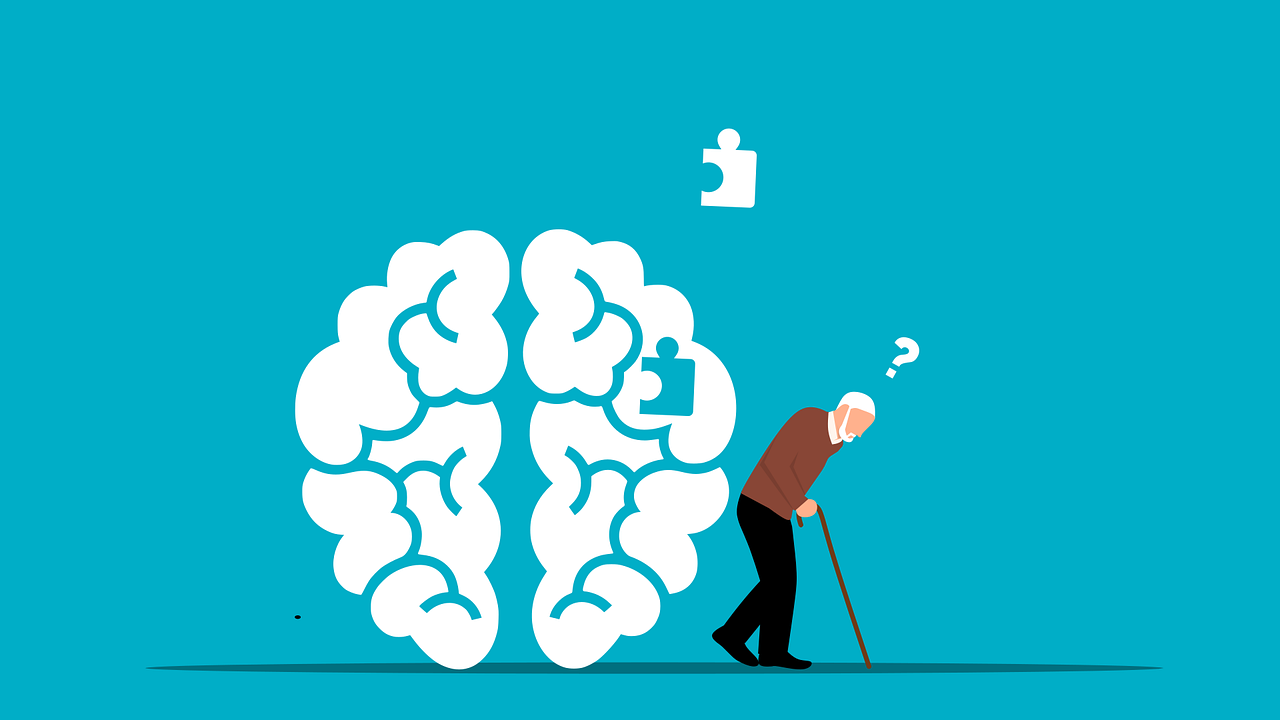 Brain 7027664 1280 2 6262a169f3ecb