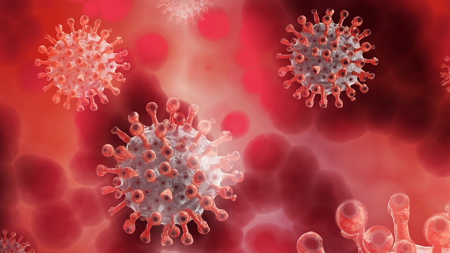 Corona 5174671 1920 1 625429ba7c8de