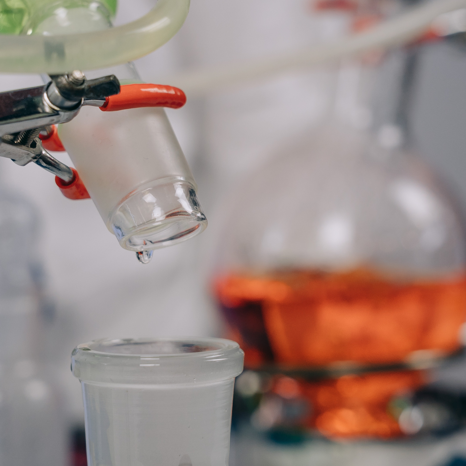 Pexels Reageants Pexels Mikhail Nilov 9243559 6266ba38827a8