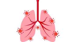 4 8 2022 11 10 35 Am 62505088b80bb 4 8 2022 11 10 35 Am 62505088b80bb