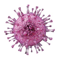 Screening for CMV is not yet universally recommended, even though congenital infections pose a serious health risk for newborns. Screening for CMV is not yet universally recommended, even though congenital infections pose a serious health risk for newborns.