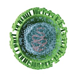 HSV1 and HSV2 both lead to lifelong infections, but many people never realize they have the virus. Without testing, pregnant women may be unaware of the risk to their babies. HSV1 and HSV2 both lead to lifelong infections, but many people never realize they have the virus. Without testing, pregnant women may be unaware of the risk to their babies.