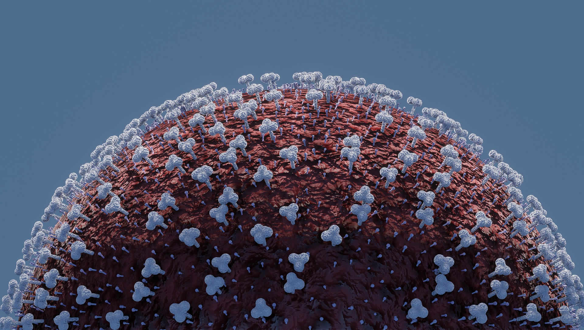 Httpspixabay comphotoscorona Pandemic Lockdown Disease 5073863 62505ac083c0f