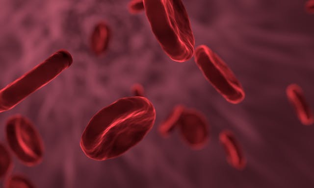 Pixabay Red Blood Cells Gbdfb639de 1920
