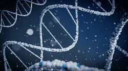 Unsplash Dna Brano Mm1 Vi Pqd0 Oa Unsplash