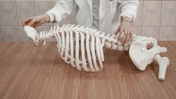 Pexels Spine Pexels M Lina S Rbu 7319496 627a6caf8864d Pexels Spine Pexels M Lina S Rbu 7319496 627a6caf8864d