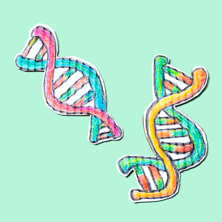 Adobe Dna Adobe Stock 388037580 629634db50387