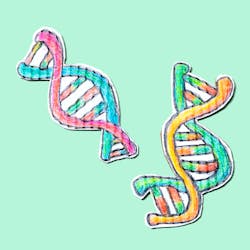 Adobe Dna Adobe Stock 388037580 629634db50387 Adobe Dna Adobe Stock 388037580 629634db50387