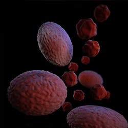 Unsplash Cancer Cdc 5j Mo C6 T Inq4 Unsplash 62714c96cbfd1 Unsplash Cancer Cdc 5j Mo C6 T Inq4 Unsplash 62714c96cbfd1