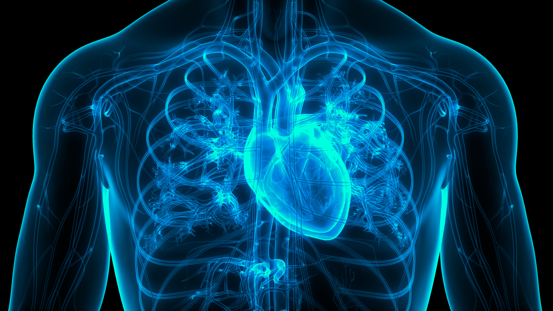 Adobe Atrial Fib Adobe Stock 377878212 6287ac6fe33a1