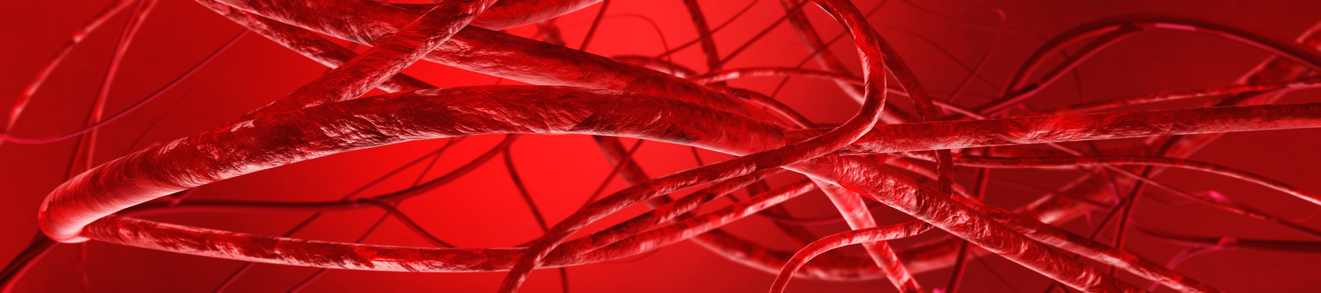 Adobe Blood Vessels Adobe Stock 280768609 62865cb7470e5