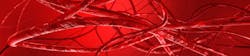 Adobe Blood Vessels Adobe Stock 280768609 62865cb7470e5 Adobe Blood Vessels Adobe Stock 280768609 62865cb7470e5