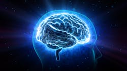 Adobe Brain Adobe Stock 320021981 628b9ae404ed2 Adobe Brain Adobe Stock 320021981 628b9ae404ed2