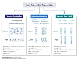 Figure 2: Types of Next Generation Sequencing. The 3 types of Next Generation Sequencing are outlined above and within the text of the manuscript. Figure created from BioRender with Publication License