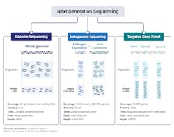 Figure 2: Types of Next Generation Sequencing. The 3 types of Next Generation Sequencing are outlined above and within the text of the manuscript. Figure created from BioRender with Publication License Figure 2: Types of Next Generation Sequencing. The 3 types of Next Generation Sequencing are outlined above and within the text of the manuscript. Figure created from BioRender with Publication License