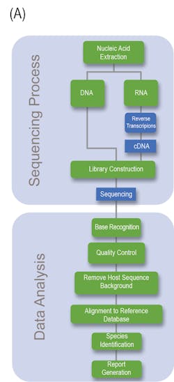 Figure 1: (A) General Flowchart of Next-Generation Sequencing. The general procedure displayed is representative of metagenomic next-generation sequencing. Adapted from Duan et al. 1 Figure 1: (A) General Flowchart of Next-Generation Sequencing. The general procedure displayed is representative of metagenomic next-generation sequencing. Adapted from Duan et al. 1