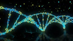 Pixabay Dna 6896923 1920 627536b4ab2e9 Pixabay Dna 6896923 1920 627536b4ab2e9