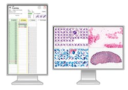 Vision Monitors (1) Vision Monitors (1)