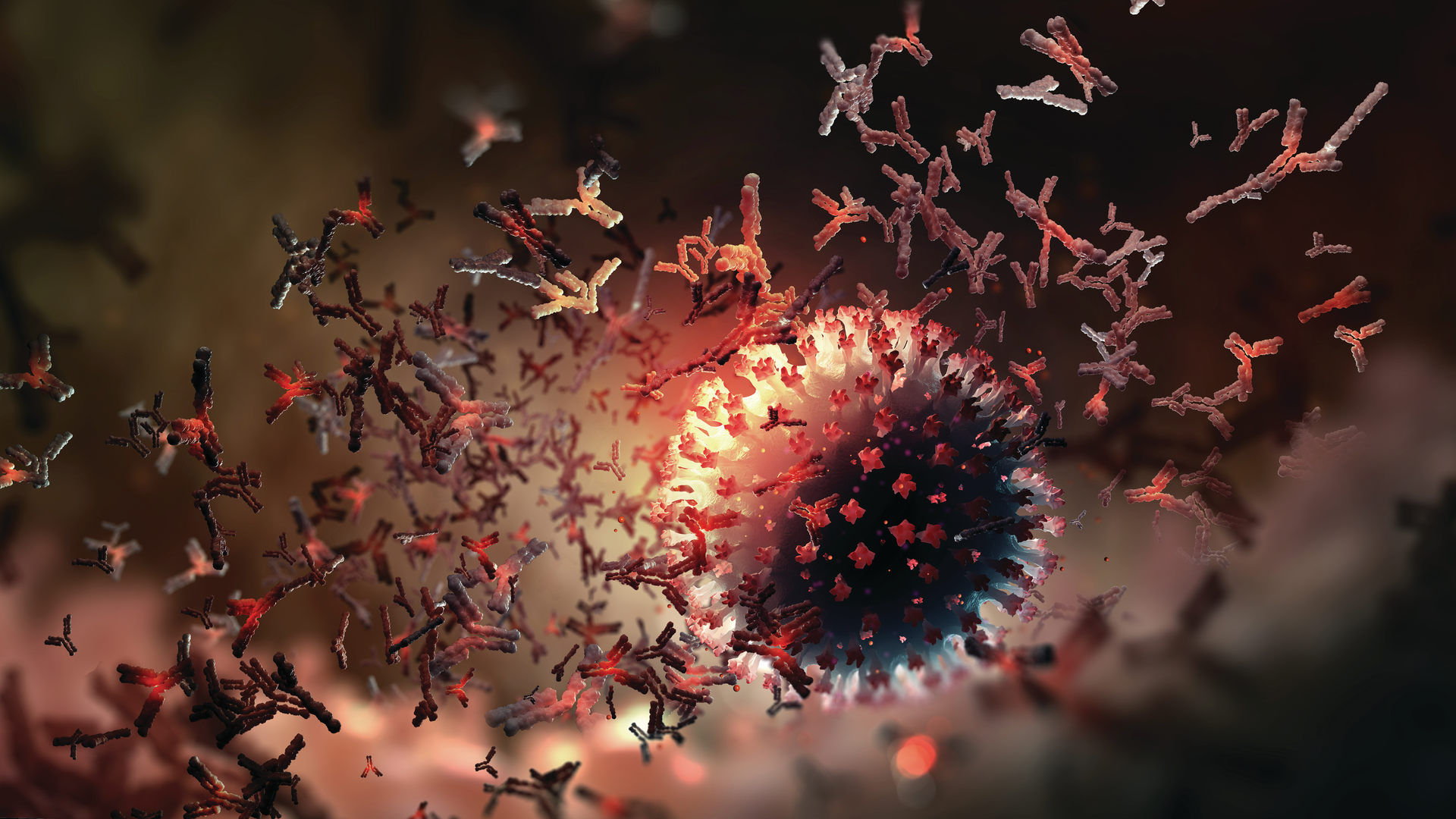 Bigstock Vaccine Antibody Production 453771697