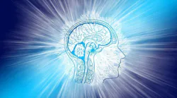 Pixabay Brain Intelligence G24e0c20f5 1280