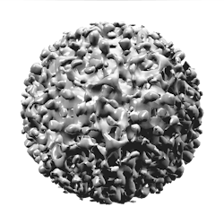 Pixabay Hepatitis B Virus 1186581 1920 62728bb127dcd Pixabay Hepatitis B Virus 1186581 1920 62728bb127dcd