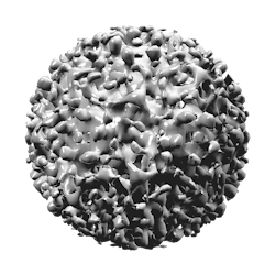 Pixabay Hepatitis B Virus 1186581 1920