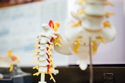 Unsplash Spine Chuttersnap 1e L99e G Xp0g Unsplash 62714df829708 Unsplash Spine Chuttersnap 1e L99e G Xp0g Unsplash 62714df829708