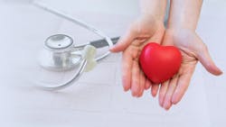 Adobe Stock 332495465 62be0330e0b2f Adobe Stock 332495465 62be0330e0b2f