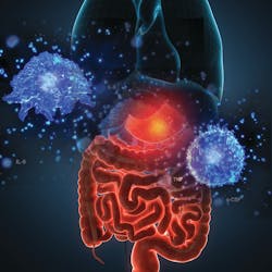 Mlo Jul Cover Image Mlo Jul Cover Image