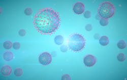 Adobe Stock 328262860 62be09142302a Adobe Stock 328262860 62be09142302a