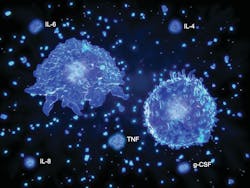 Pro-inflammatory cytokine overproduction Pro-inflammatory cytokine overproduction