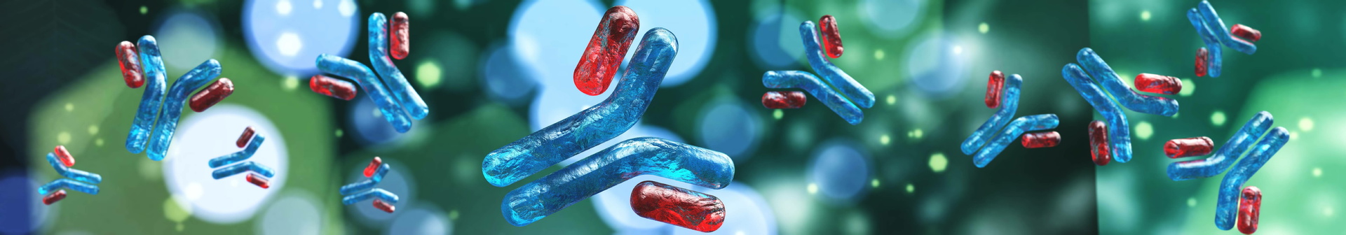 Adobe Antibodies Adobe Stock 198625672 6298c8ee83e36