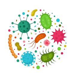 Adobe Bacteria Adobe Stock 170781480 62bb18653c578 Adobe Bacteria Adobe Stock 170781480 62bb18653c578