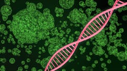 Adobe Cancer Cells Adobe Stock 251407210 62a9f3c93dfd5 Adobe Cancer Cells Adobe Stock 251407210 62a9f3c93dfd5