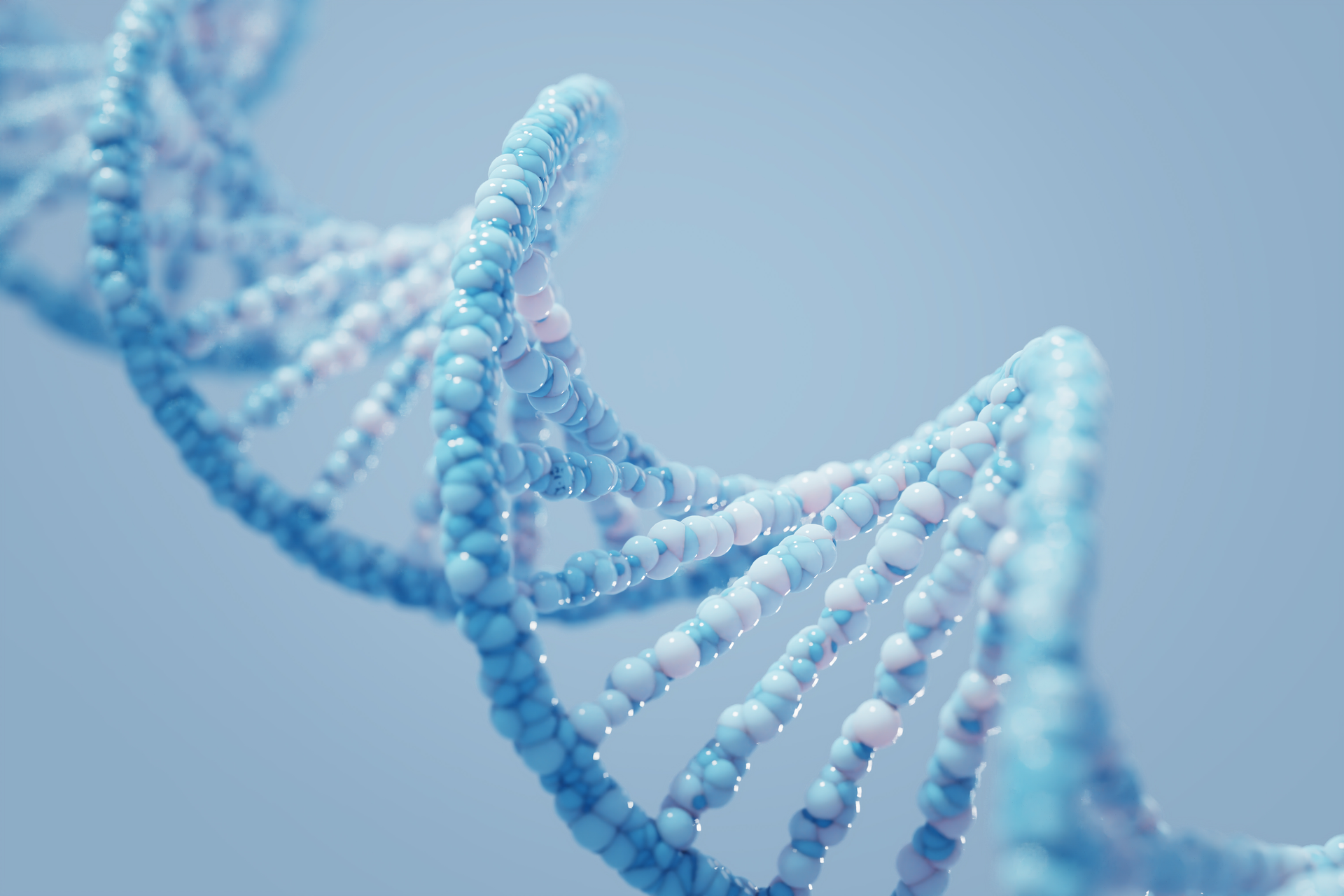 Adobe Dna Adobe Stock 313716321 62b5d55a1ddb8