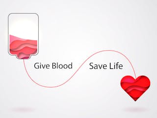 Adobe Donate Blood Adobe Stock 228717276