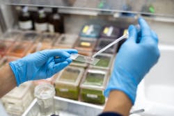 Adobe Slide Adobe Stock 300383235 62bb2424a76c7 Adobe Slide Adobe Stock 300383235 62bb2424a76c7