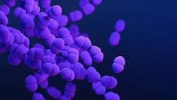 Courtesy of the CDC Courtesy of the CDC