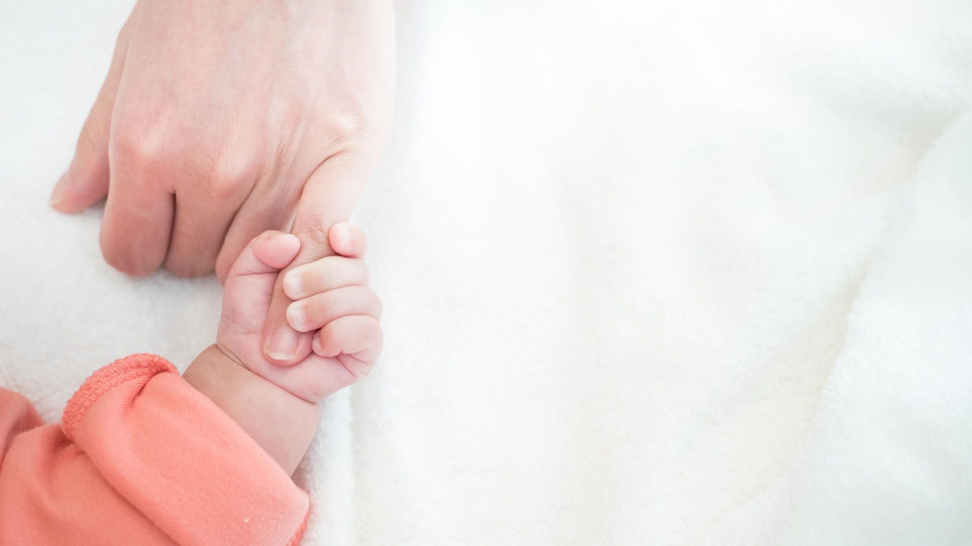 Adobe Stock 195698920 62e0071cd83c6